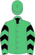 Emerald green, black chevrons on sleeves
