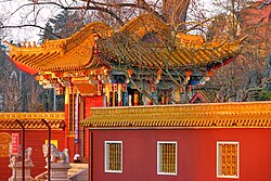 Chinese Garden Zürich