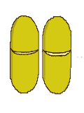 Transverse dehiscence of a pair of anthers