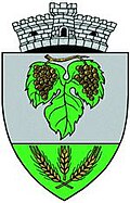Coat of arms of Papiu Ilarian