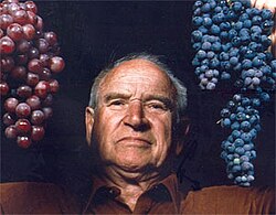 Harold Olmo
