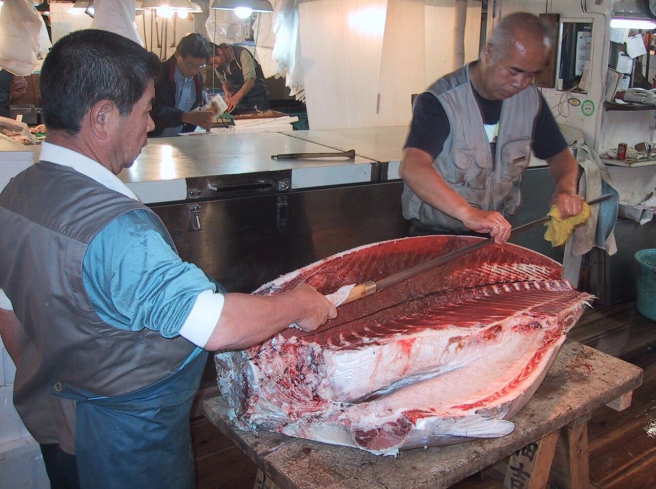 Tsukiji fish market thuna knife.jpg