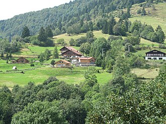 Houses on the slopes near Bussang (Vosges, France)