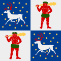 Flag of Norrbotten County