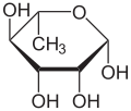 Main chain monomer: Rhamnose (Rha)