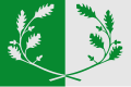 Flag of Eeklo