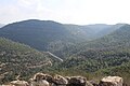 View up the Valley of Sorek from Tur Shimon