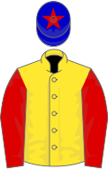 Yellow, red sleeves, blue cap, red star