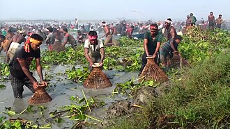 Crowd fishing with traditional conical bamboo traps
