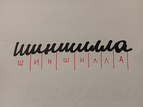 The word Шиншилла (shinshilla), which means "Chinchilla". In red, a decomposition of the handwritten text showing the block letter equivalent.