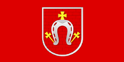 Flag of Drybin district