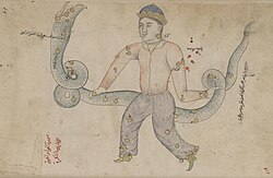 Ophiuchus in a manuscript copy of Azophi's Uranometry, 18th century copy of a manuscript prepared for Ulugh Beg in 1417 (note that as in all pre-modern star charts, the constellation is mirrored, with Serpens Caput on the left and Serpens Cauda on the right).