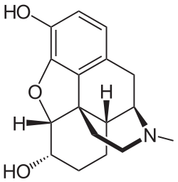 Chemical structure of Dihydromorphine 2D structure.