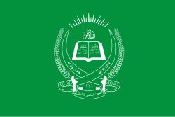 Party flag