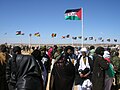 Commemoration of the 30th Independence Day in Tifariti, Liberated Territories, Western Sahara.
