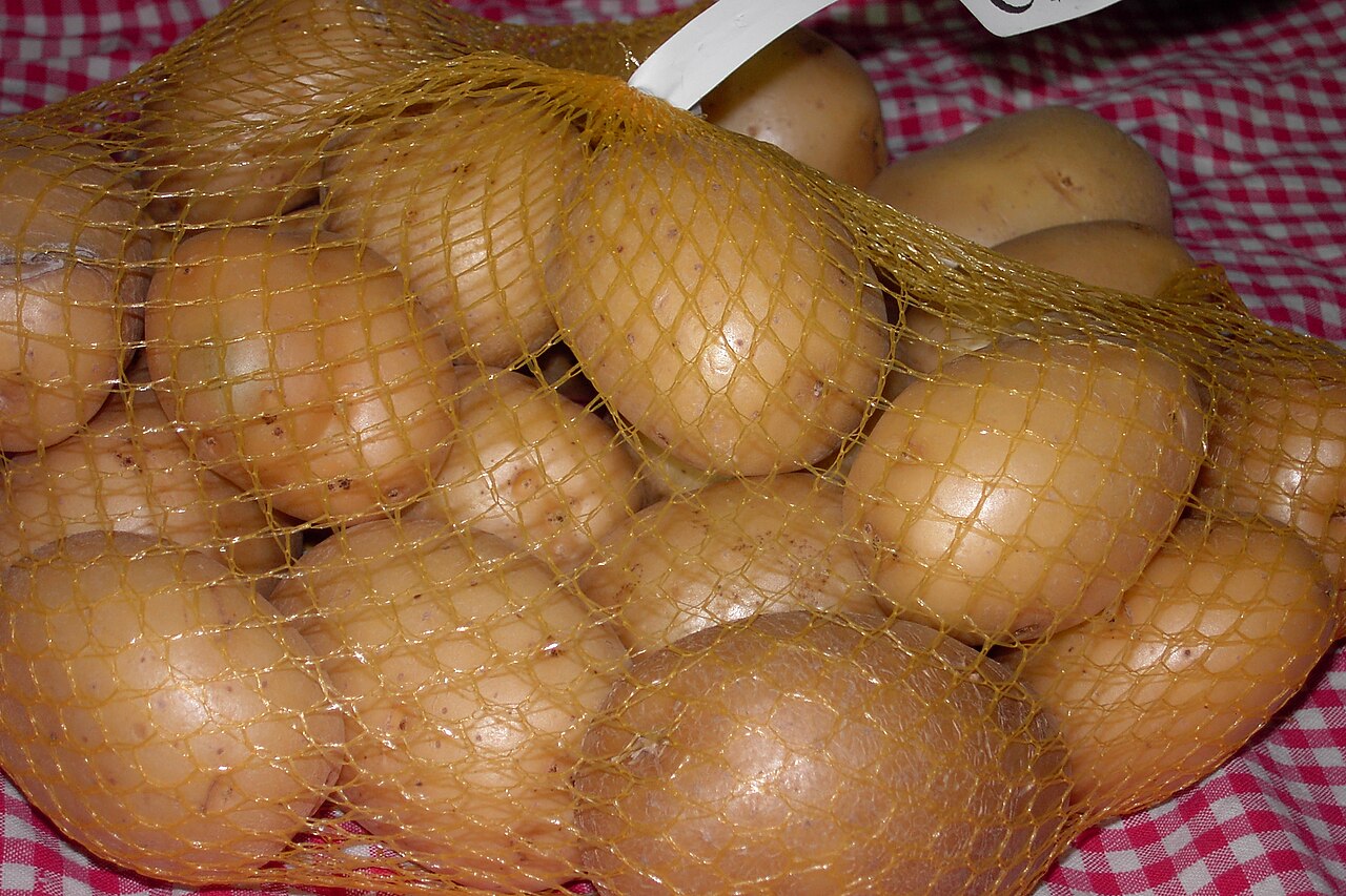 Potato variety Agata.jpg