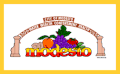 Flag of Modesto, California