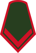 Cabo segundo (National Army of Colombia)[4]