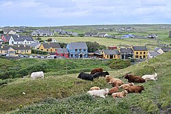 Fisher Street in Doolin