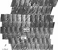 Scour patterns, located in Lunae Palus quadrangle, were produced by flowing water from Maja Valles, which lies just to the left of this mosaic. Detail of flow around Dromore crater is shown on the next image.