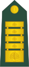 General (Slovenian Ground Force)[39]