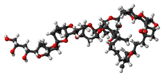 Space-filling model of the halichondrin B molecule