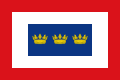 Flag of Tolú