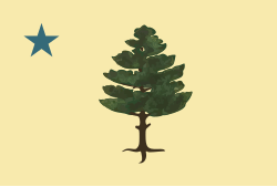 Former flag of Maine (1901–1909)