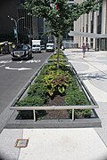 A planting bed next to the sidewalk of the plaza outside 1271 Avenue of the Americas