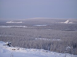 The taiga in the river valley near Verkhoyansk, Russia, at 67°N, experiences the coldest winter temperatures in the northern hemisphere, but the extreme continentality of the climate gives an average daily high of 22 °C (72 °F) in July