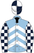 Light blue and white chevrons, dark blue and white check sleeves, dark blue and white quartered cap