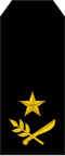 General de brigada (Nicaraguan Army)[39]