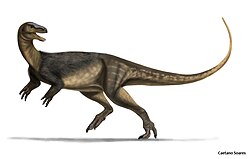 Saturnalia tupiniquim