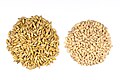 Barley grains with and without the outer husk.