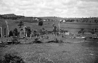 Mr R Campbell's Dairy, Peeramon, circa 1935