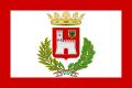 Flag of Vigevano