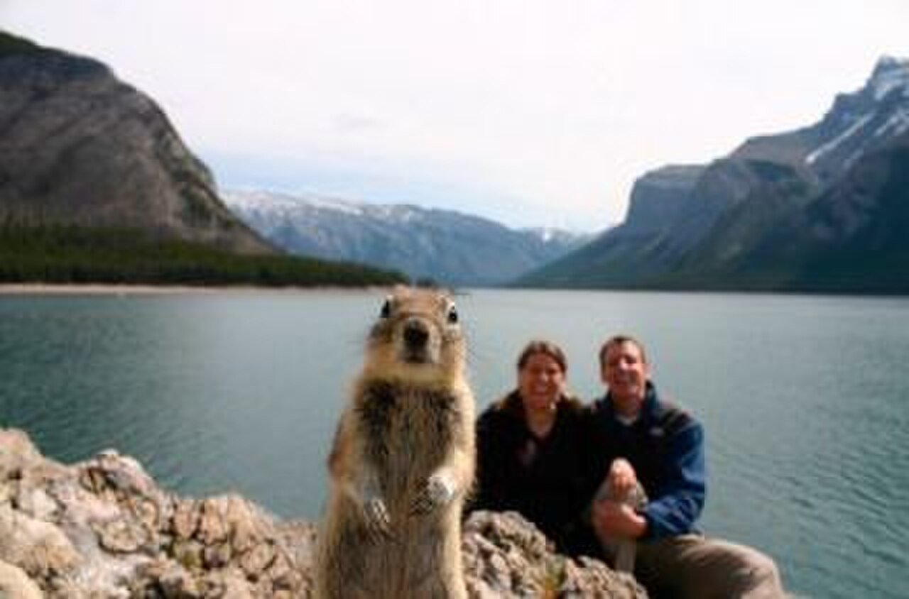 Crasher squirrel.jpg