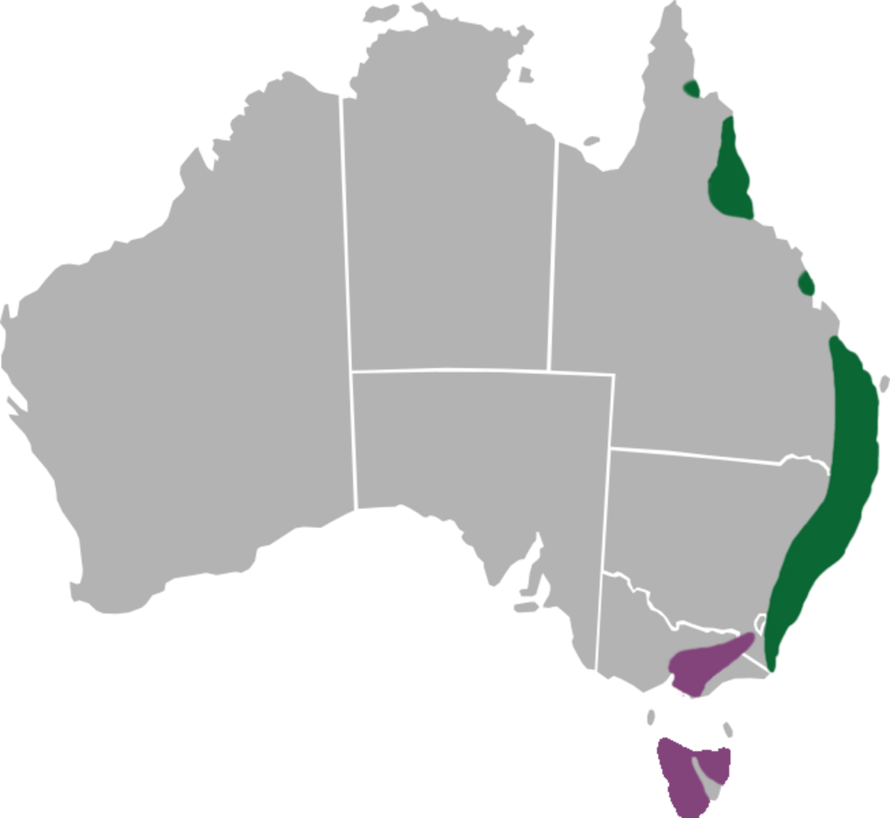 Graphium macleayanus range.png