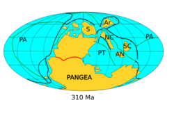 Paleogeography of Earth in the late Carboniferous, around 310 Ma. Laurussia has fused with Gondwana to form Pangaea.