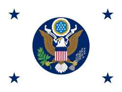 Flag of the deputy secretary of state