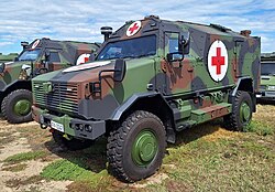 Serbian Dingo 2