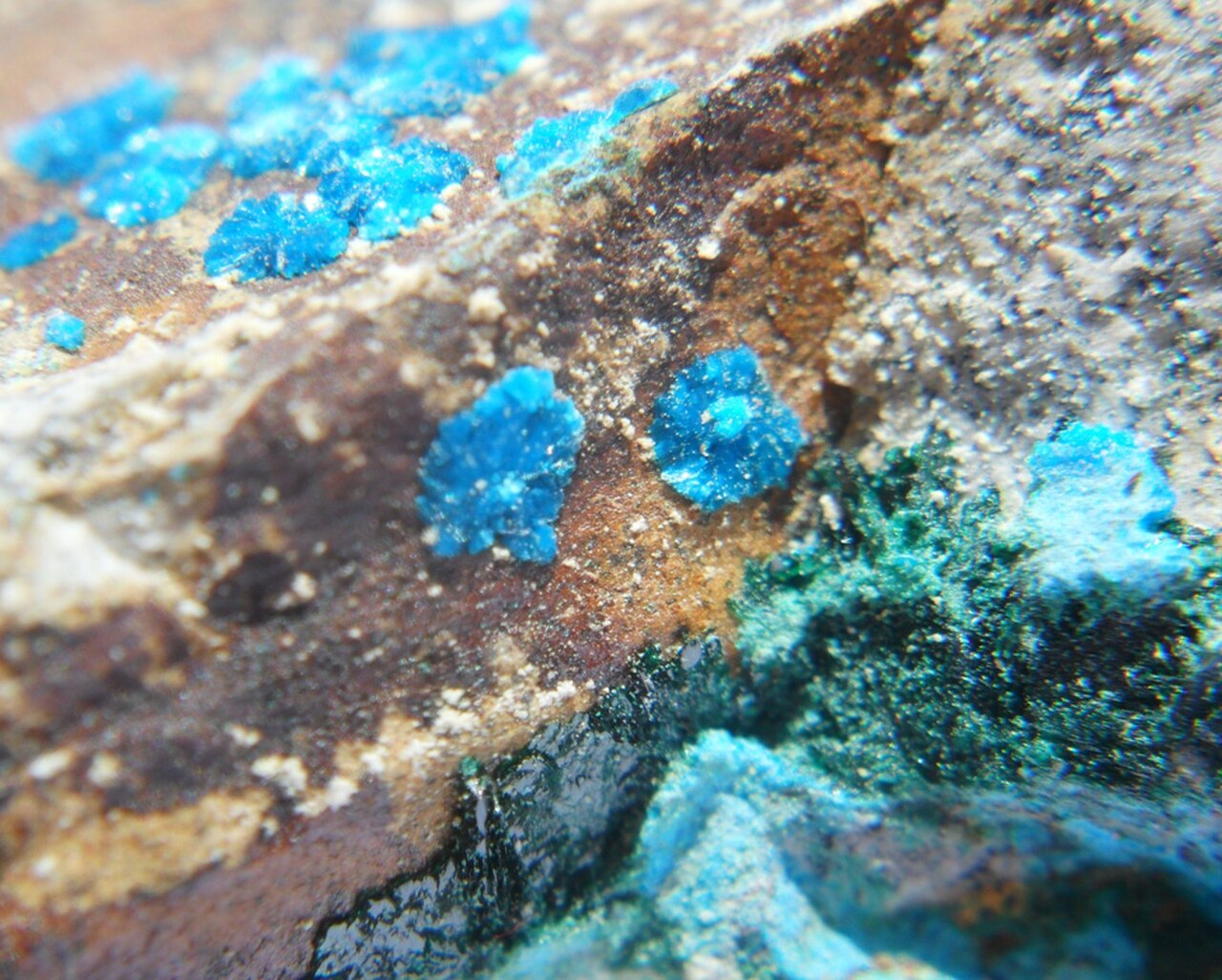 Sampleite 04.JPG
