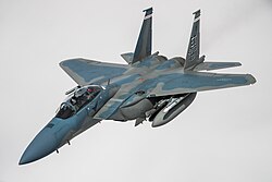 From 2031, fifty F-15IAs, based on the USAF's new F-15EX Eagle II, will replace the aging F-15A/B/C/D Baz at Tel Nof