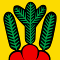 Flag of Bowil