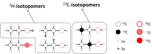 Ethanol isotopologues