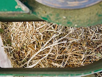 Wood chips from a small garden chipper.