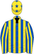 Royal blue and yellow stripes, yellow cap, royal blue stars
