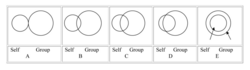 Pictorial Scale Measure of Identity Fusion.