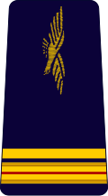 Major in the French Air Force, superior to Adjudant-chef and inferior to Aspirant