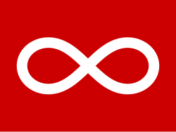 A flag with a red background and a large centered white infinity loop.